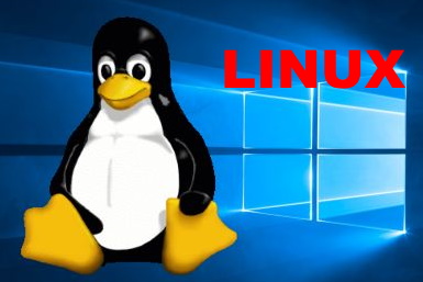 LINUX 20H1