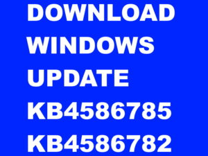 download windows update 10 november 2020