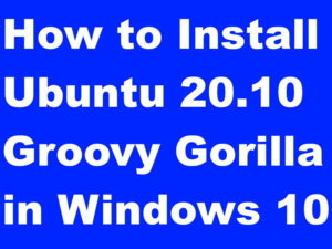 Ubuntu 20.10 Groovy Gorilla