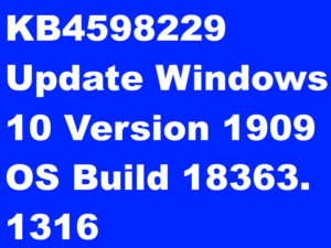 KB4598229 Update Windows 10 Version 1909 OS Build 18363.1316