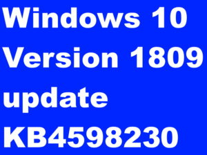 Windows 10 Version 1809 update KB4598230 Released January 2021