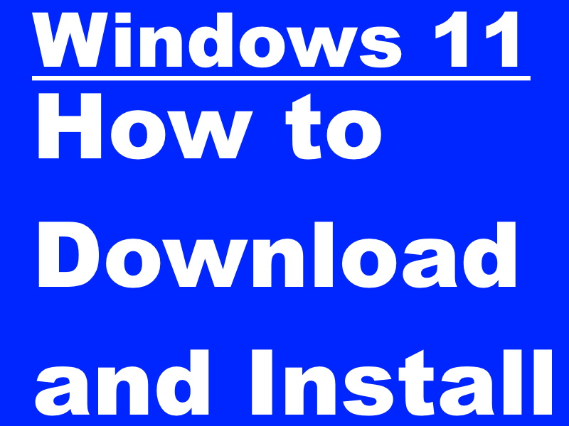 Install Windows 11 for Dev Channel