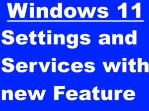 Windows 11 Settings and Services with new Recommended Feature