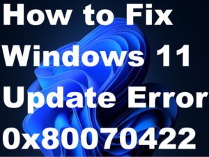 Update Error 0x80070422 in Windows 11