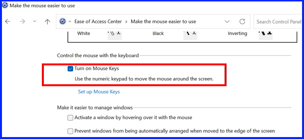 turn on mouse keys